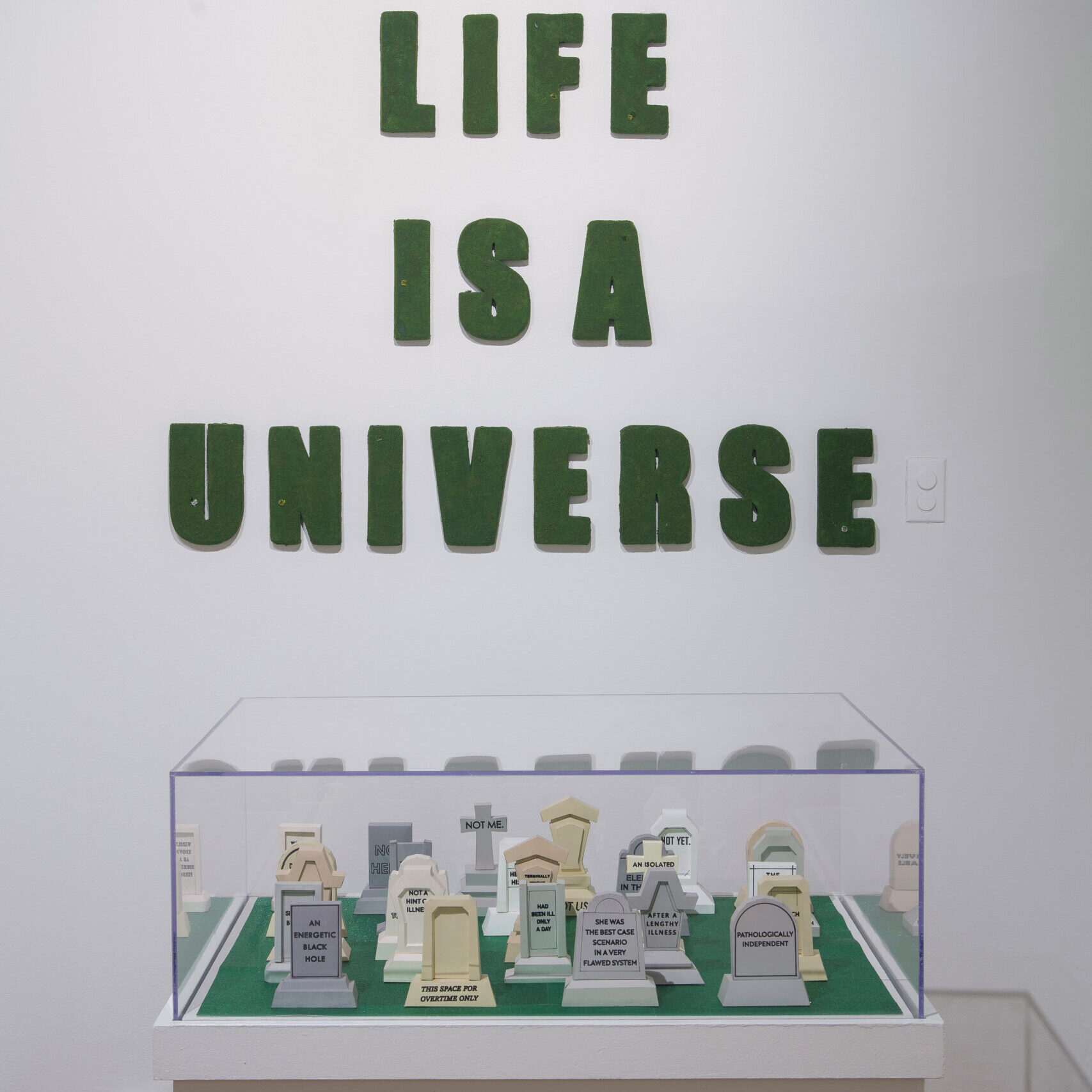 Every Life is a Universe